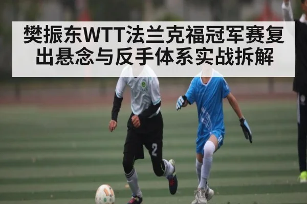 樊振东WTT法兰克福冠军赛复出悬念与反手体系实战拆解